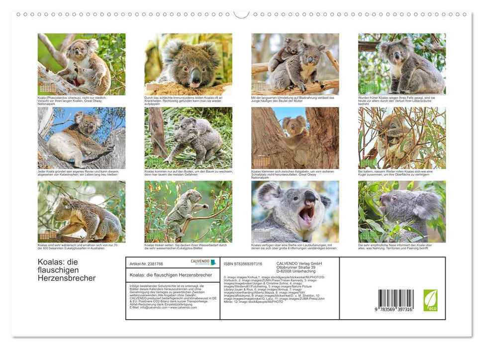 Koalas: die flauschigen Herzensbrecher (CALVENDO Premium Wandkalender 2027)