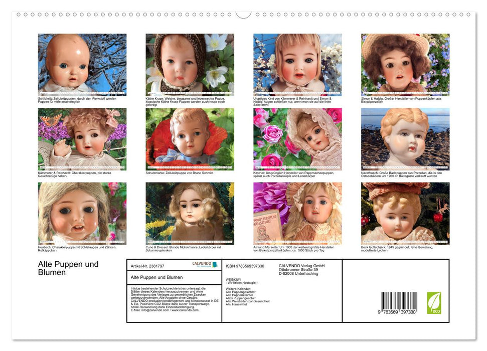 Alte Puppen und Blumen (CALVENDO Premium Wandkalender 2027)