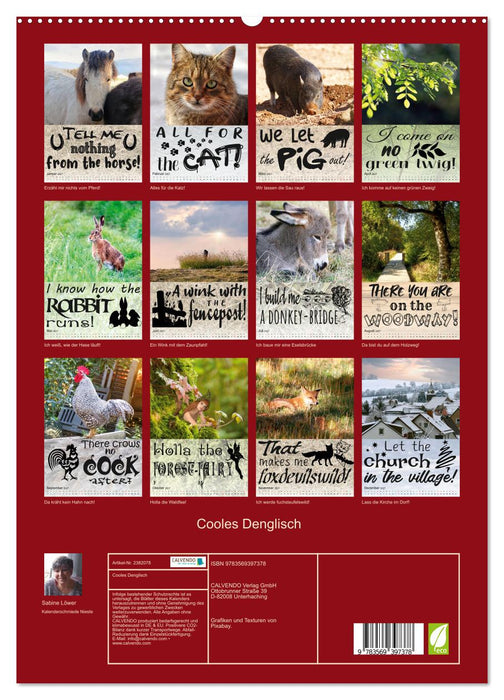 Cooles Denglisch (CALVENDO Premium Wandkalender 2027)