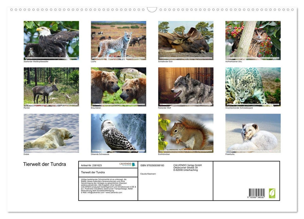 Tierwelt der Tundra (CALVENDO Wandkalender 2027)