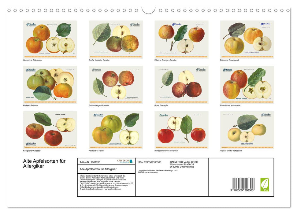Alte Apfelsorten für Allergiker (CALVENDO Wandkalender 2027)