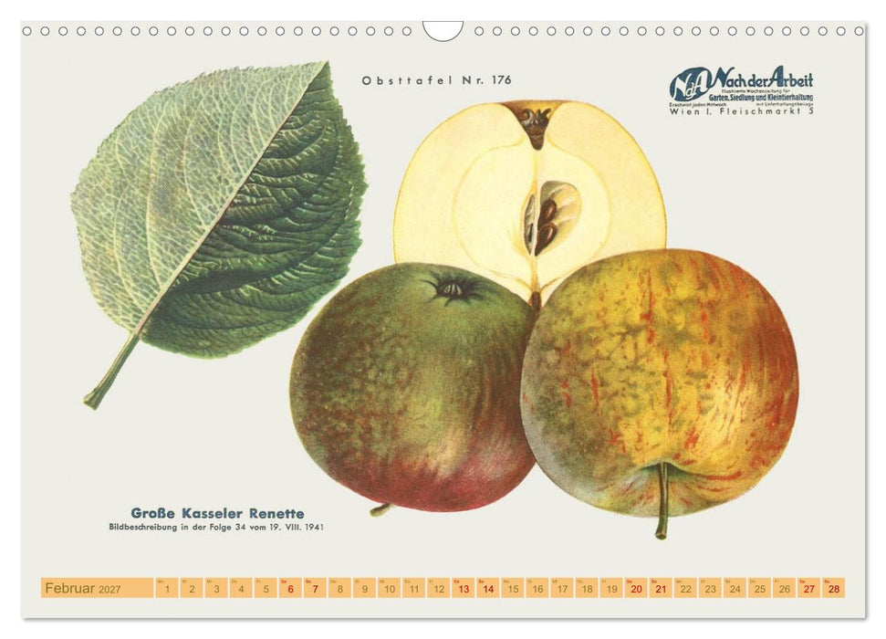 Alte Apfelsorten für Allergiker (CALVENDO Wandkalender 2027)