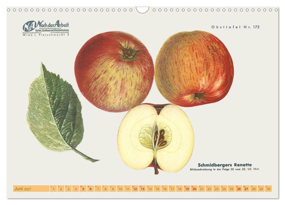 Alte Apfelsorten für Allergiker (CALVENDO Wandkalender 2027)