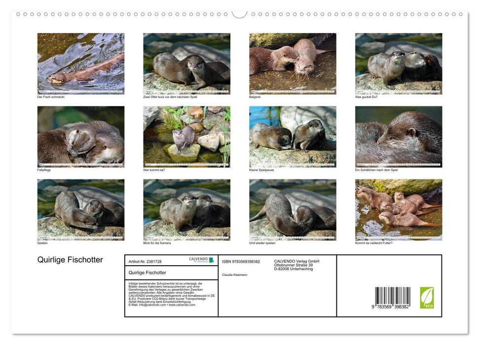 Quirlige Fischotter (CALVENDO Premium Wandkalender 2027)