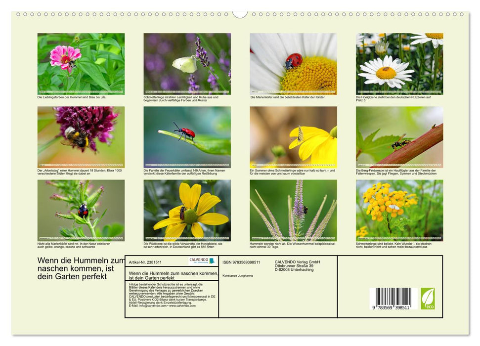 Wenn die Hummeln zum naschen kommen, ist dein Garten perfekt (CALVENDO Premium Wandkalender 2027)