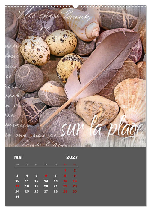Geschenke vom Meer (CALVENDO Premium Wandkalender 2027)