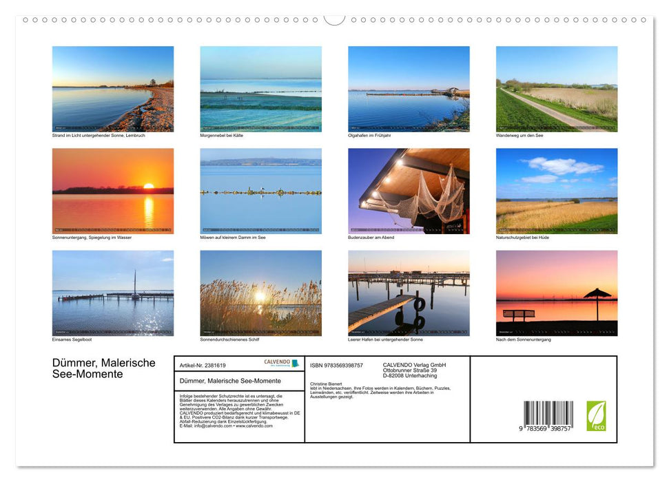 Dümmer, Malerische See-Momente (CALVENDO Premium Wandkalender 2027)