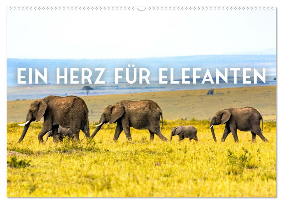 Ein Herz für Elefanten (CALVENDO Wandkalender 2027)