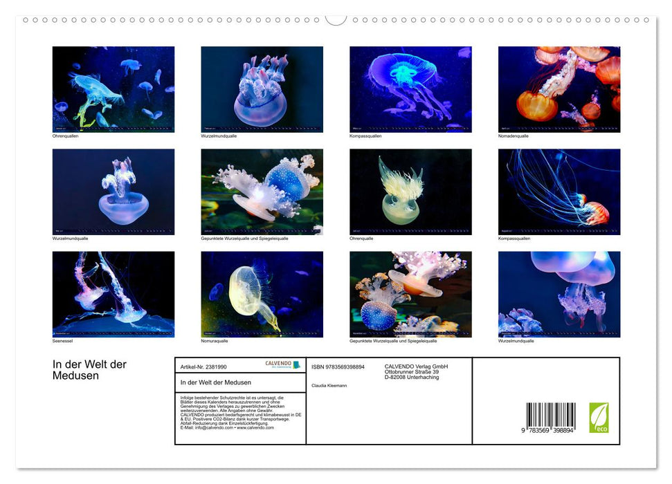 In der Welt der Medusen (CALVENDO Premium Wandkalender 2027)