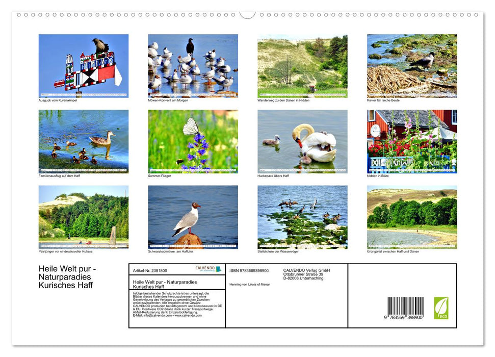 Heile Welt pur - Naturparadies Kurisches Haff (CALVENDO Premium Wandkalender 2027)