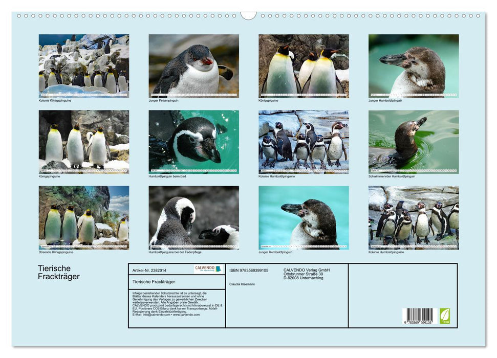 Tierische Frackträger (CALVENDO Wandkalender 2027)