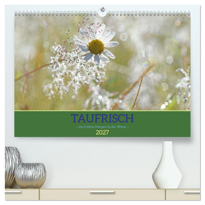 Taufrisch... am frühen Morgen in der Wiese (CALVENDO Premium Wandkalender 2027)