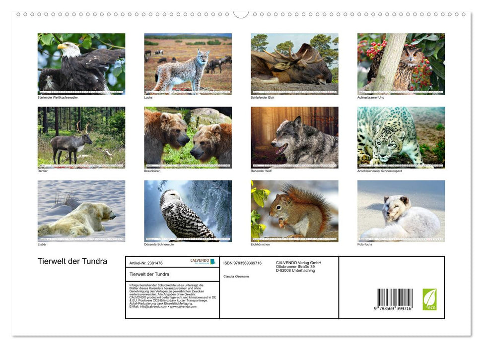 Tierwelt der Tundra (CALVENDO Premium Wandkalender 2027)