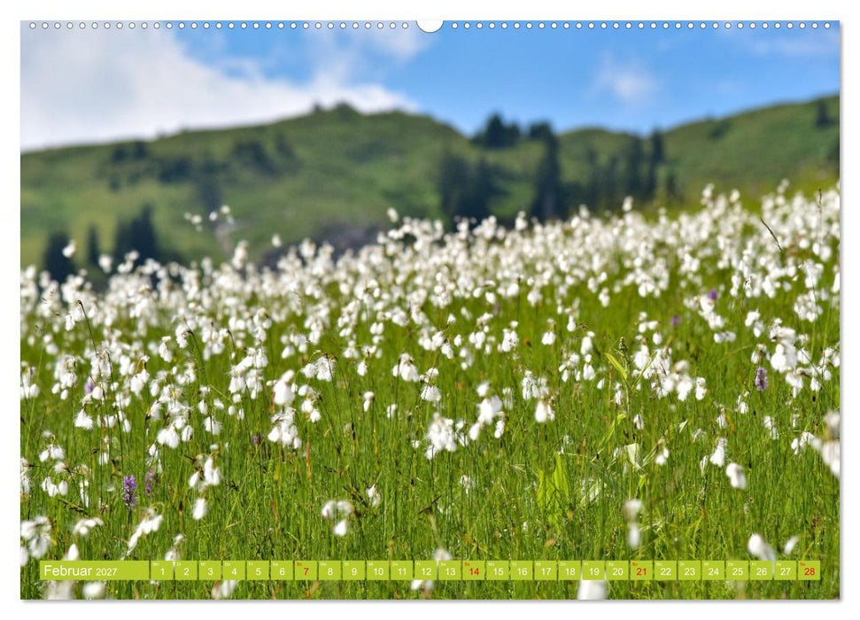 Ein Sommertag in Damüls (CALVENDO Wandkalender 2027)