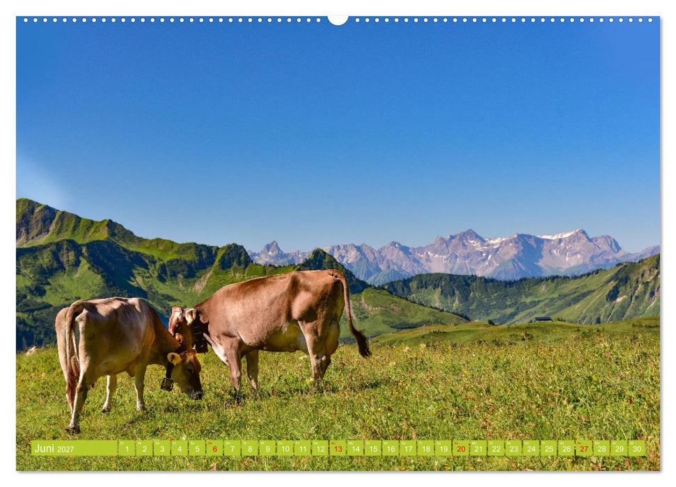 Ein Sommertag in Damüls (CALVENDO Wandkalender 2027)