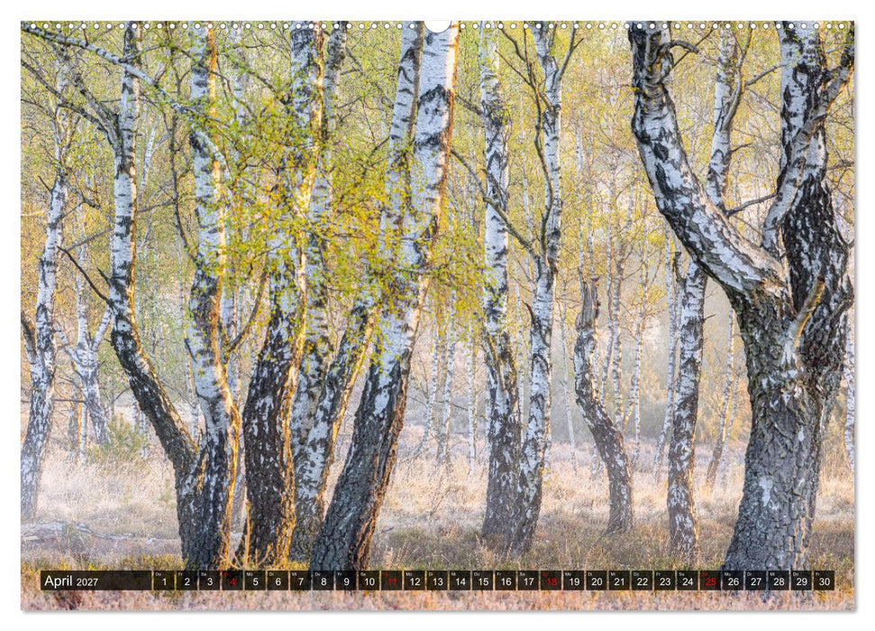 Die Lüneburger Heide - Faszination einer Naturlandschaft (CALVENDO Wandkalender 2027)