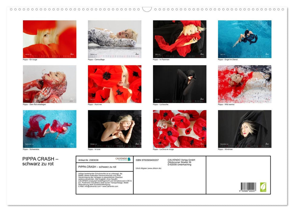 PIPPA CRASH – schwarz zu rot (CALVENDO Wandkalender 2027)