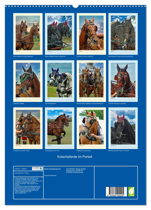 Kutschpferde im Portait (CALVENDO Premium Wandkalender 2027)