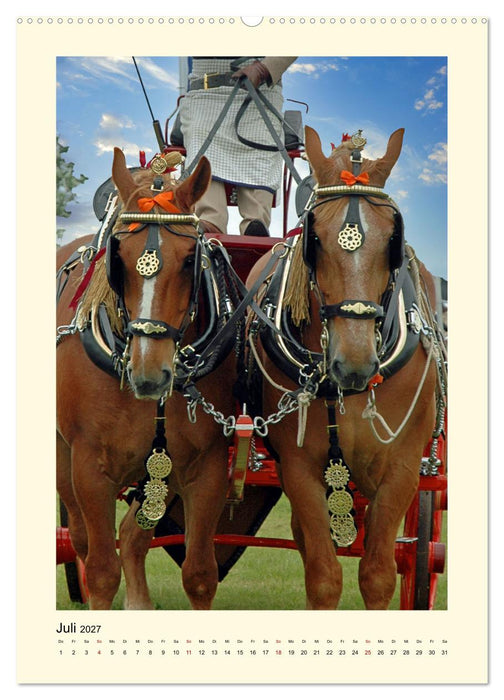 Kutschpferde im Portait (CALVENDO Premium Wandkalender 2027)