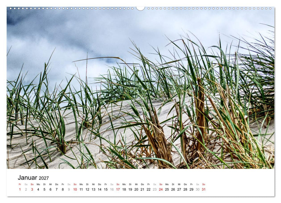 Dünenmomente - Ein Tag in den Dünen Nordjütlands (CALVENDO Premium Wandkalender 2027)