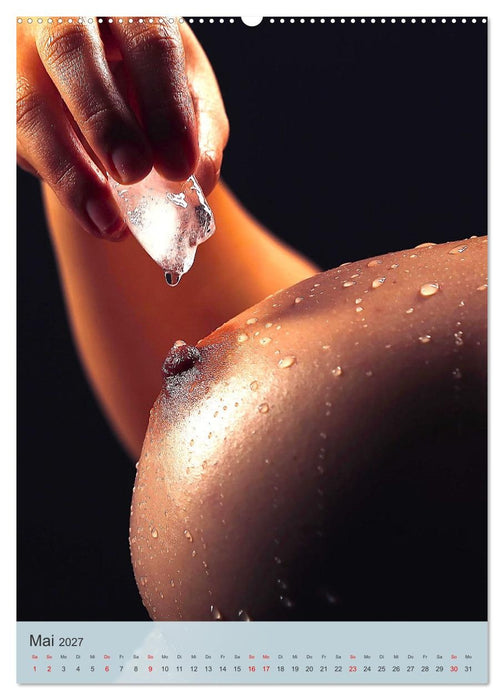 Erotische Frauen. Sexy. Reizend. Verführerisch. (CALVENDO Premium Wandkalender 2027)