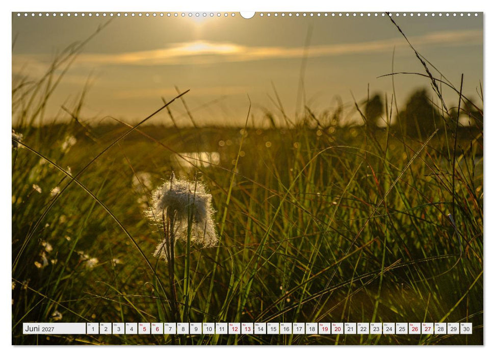 Traumlandschaft Hohes Venn (CALVENDO Wandkalender 2027)