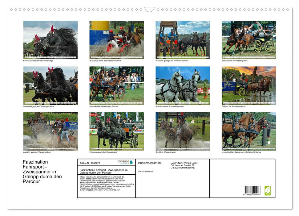 Faszination Fahrsport - Zweispänner im Galopp durch den Parcour (CALVENDO Wandkalender 2027)