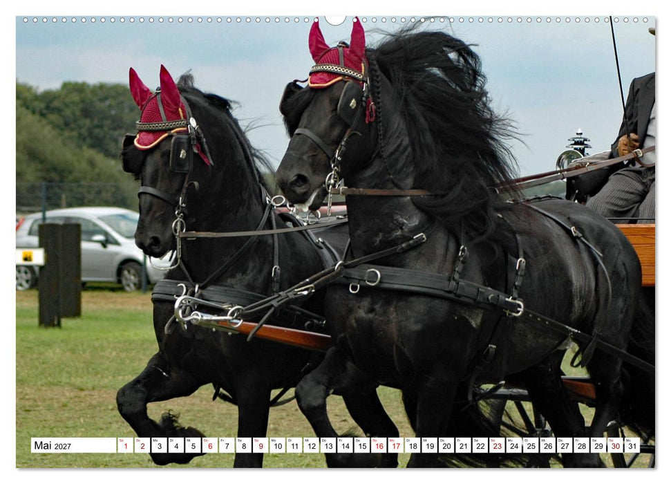 Faszination Fahrsport - Zweispänner im Galopp durch den Parcour (CALVENDO Wandkalender 2027)