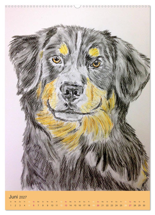 Hunde - Bezaubernde Portraitzeichnungen (CALVENDO Wandkalender 2027)