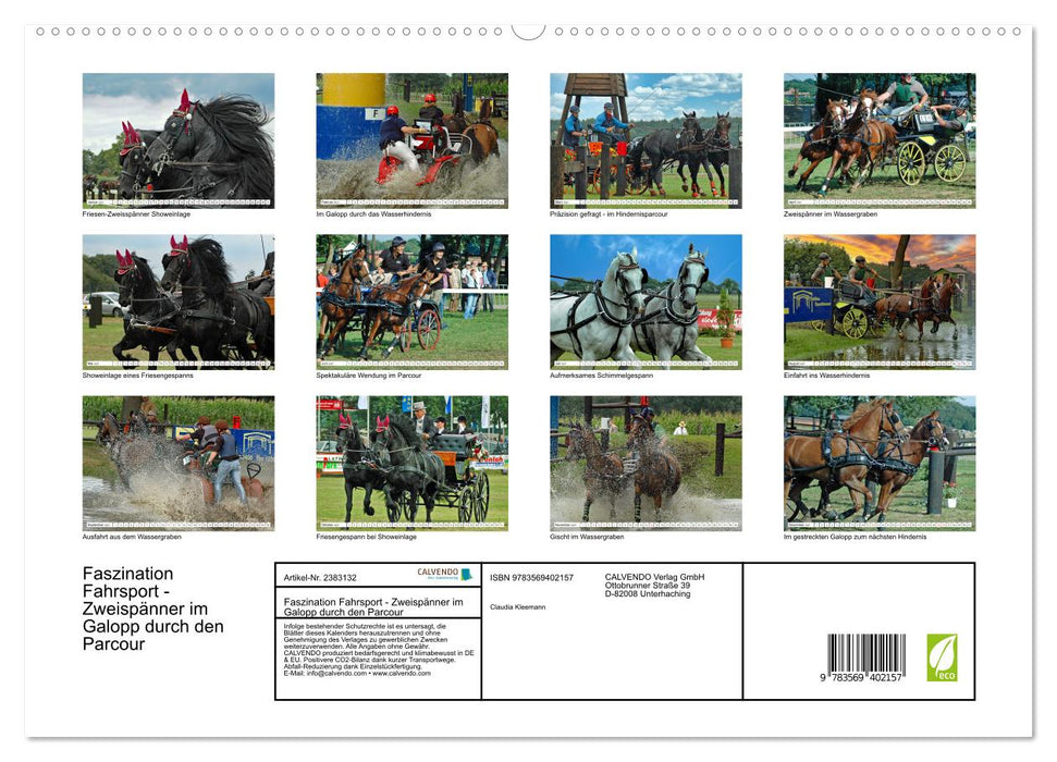 Faszination Fahrsport - Zweispänner im Galopp durch den Parcour (CALVENDO Premium Wandkalender 2027)