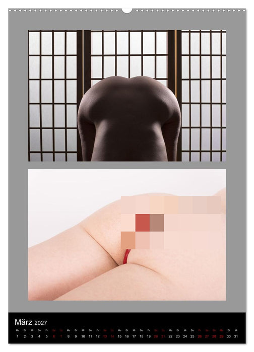 Der Po! Wirklich eine Ebene? (CALVENDO Premium Wandkalender 2027)