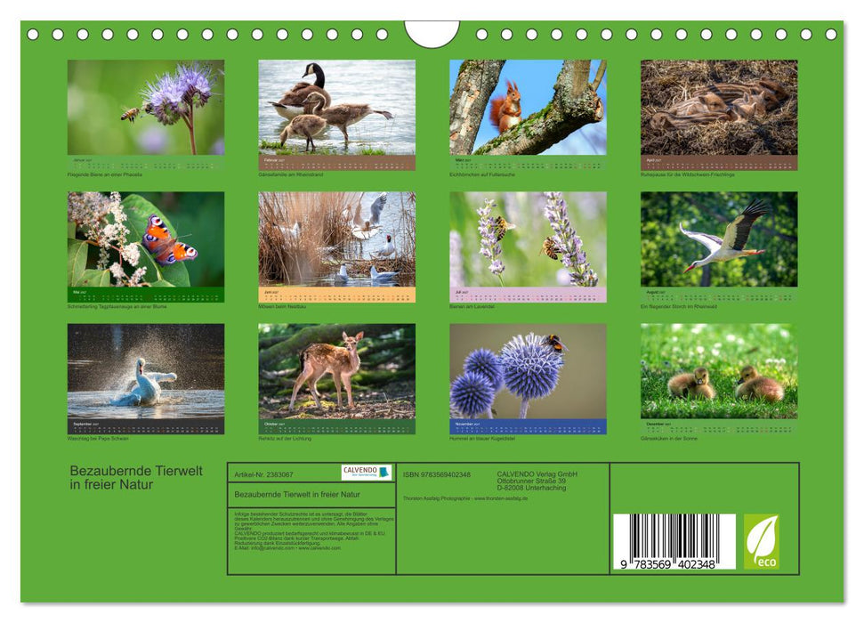 Bezaubernde Tierwelt in freier Natur (CALVENDO Wandkalender 2027)