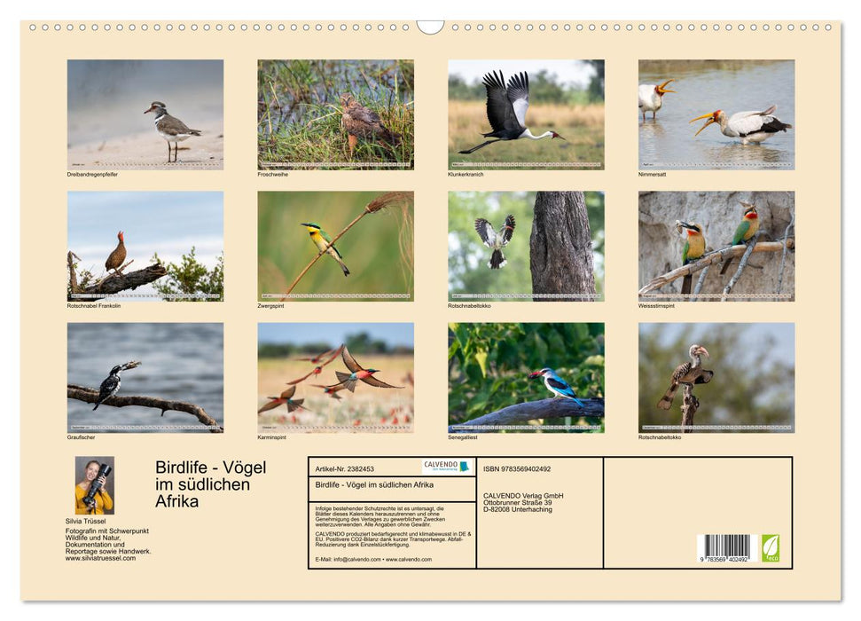 Birdlife - Vögel im südlichen Afrika (CALVENDO Wandkalender 2027)