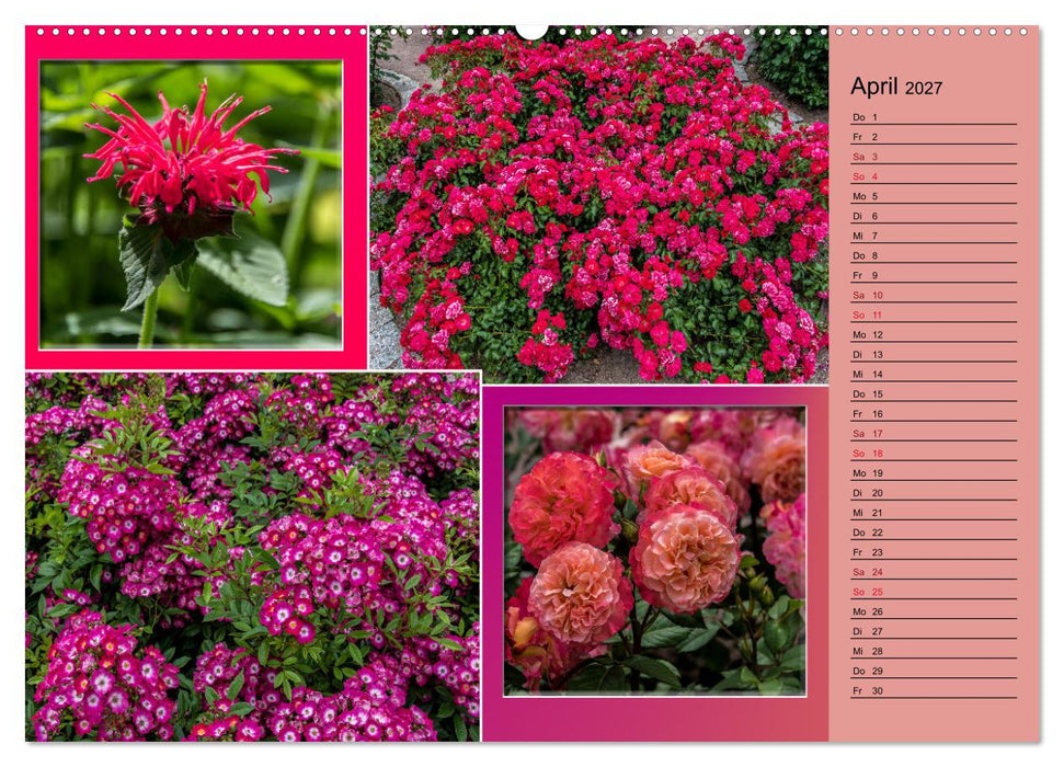 Gartenschau in Erfurt (CALVENDO Wandkalender 2027)