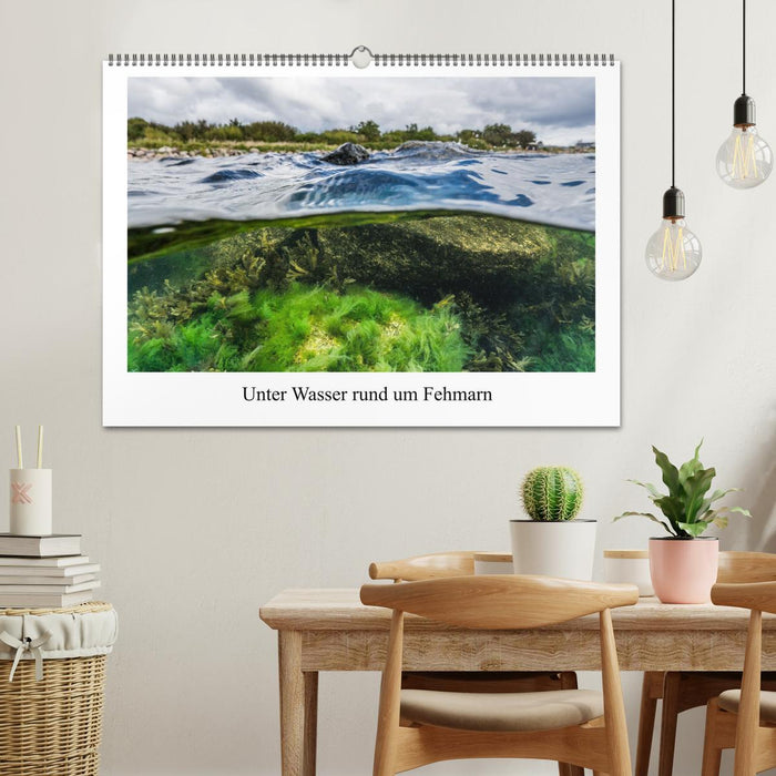 Unter Wasser rund um Fehmarn (CALVENDO Wandkalender 2027)