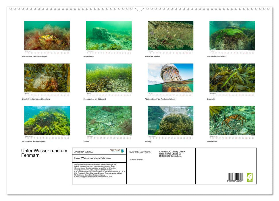 Unter Wasser rund um Fehmarn (CALVENDO Wandkalender 2027)