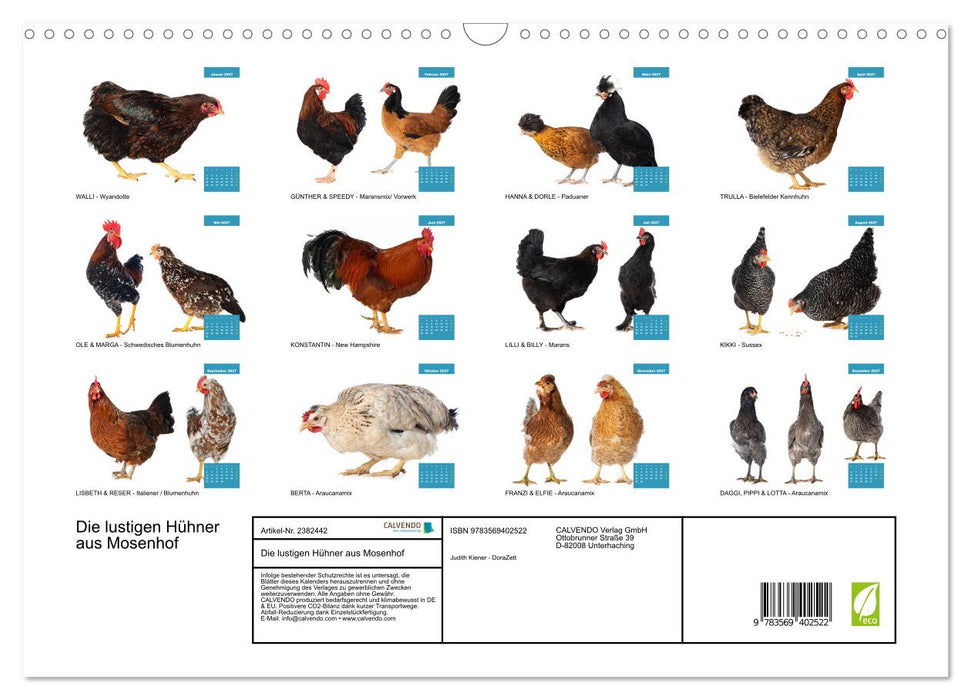 Die lustigen Hühner aus Mosenhof (CALVENDO Wandkalender 2027)