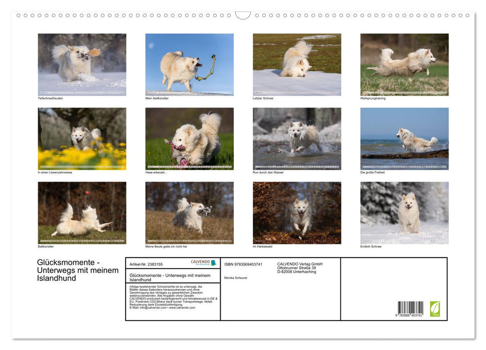 Glücksmomente - Unterwegs mit meinem Islandhund (CALVENDO Wandkalender 2027)