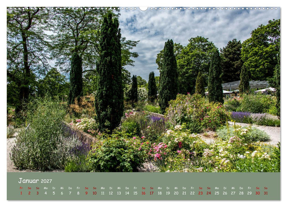Erfurt erblüht (CALVENDO Wandkalender 2027)