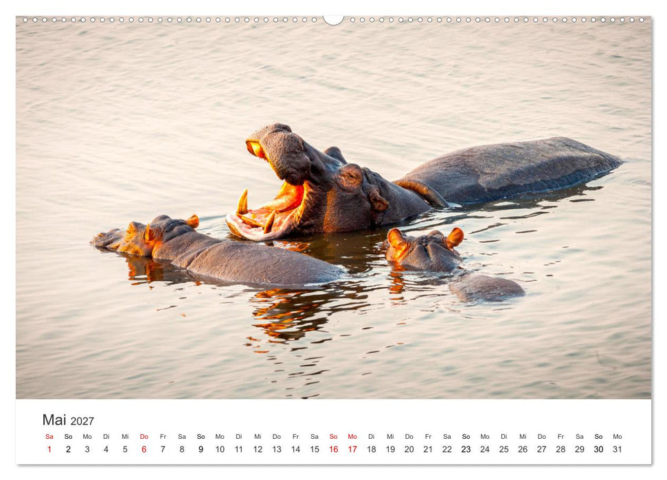 Botswana - Grandiose Wildnis (CALVENDO Wandkalender 2027)