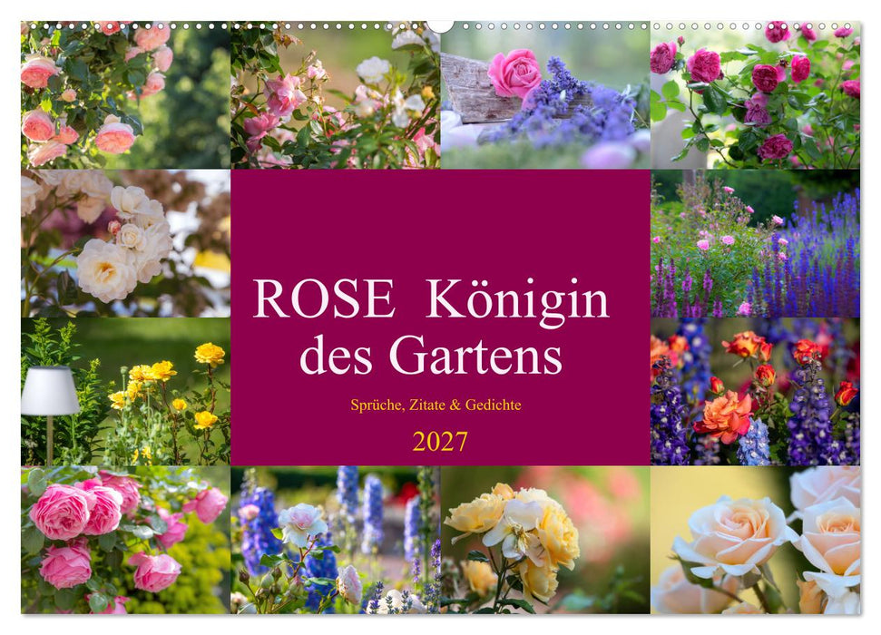 Rose Königin des Gartens (CALVENDO Wandkalender 2027)