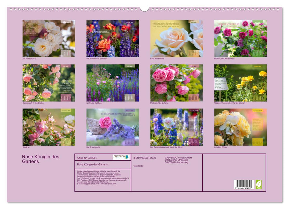Rose Königin des Gartens (CALVENDO Wandkalender 2027)
