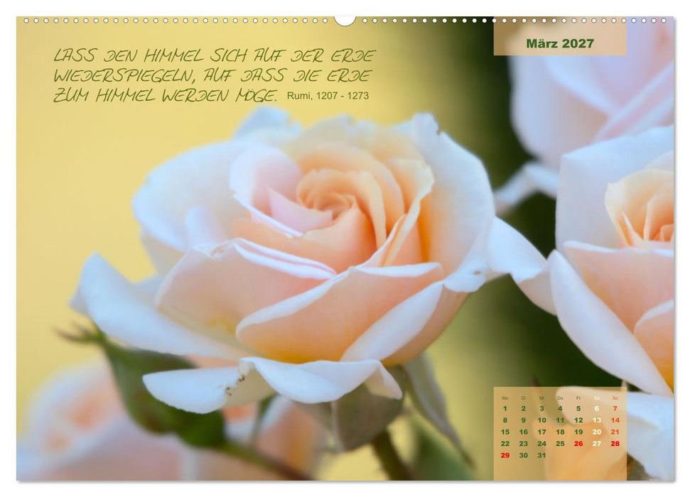 Rose Königin des Gartens (CALVENDO Wandkalender 2027)