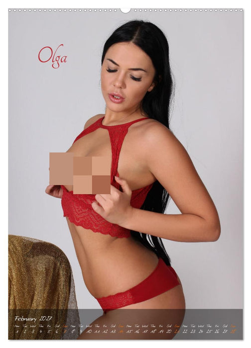 Erotic Photo Art Dream Girls (CALVENDO Monthly Calendar 2027)