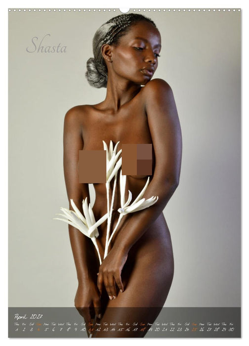 Erotic Photo Art Dream Girls (CALVENDO Monthly Calendar 2027)