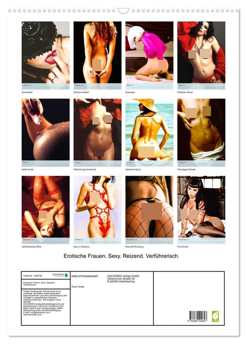 Erotische Frauen. Sexy. Reizend. Verführerisch. (CALVENDO Wandkalender 2027)