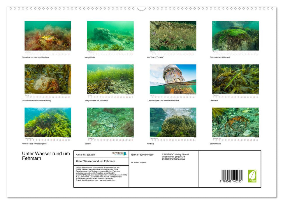 Unter Wasser rund um Fehmarn (CALVENDO Premium Wandkalender 2027)
