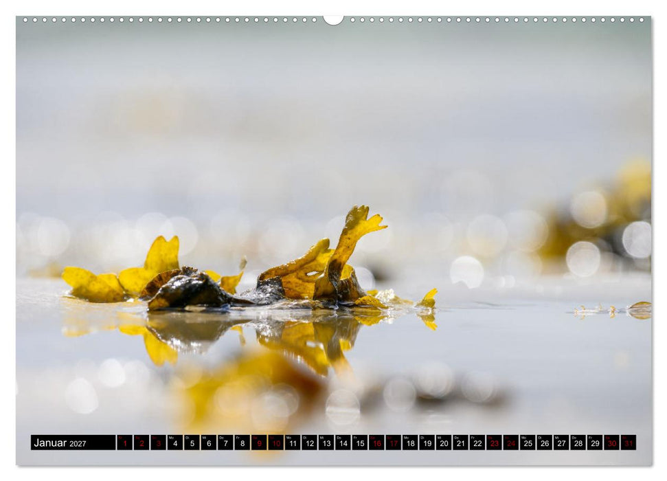 Strandobjekte (CALVENDO Premium Wandkalender 2027)