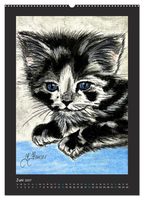 PortraiTierART Samtpfötchen (CALVENDO Premium Wandkalender 2027)