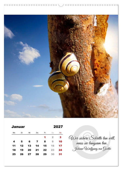 Schnecklein (CALVENDO Wandkalender 2027)